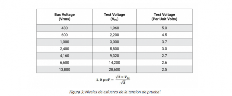 Figura 3 Boletín de Megger